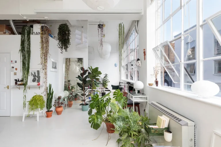 Rostliny v interieru